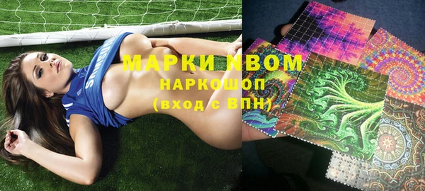 гидра Богданович
