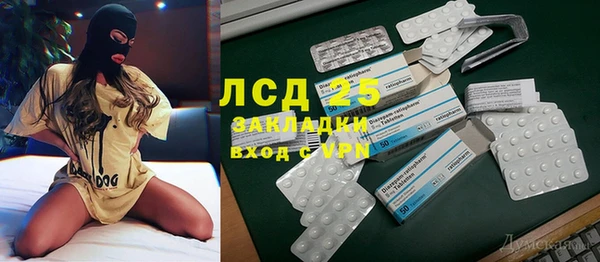 гидра Богданович