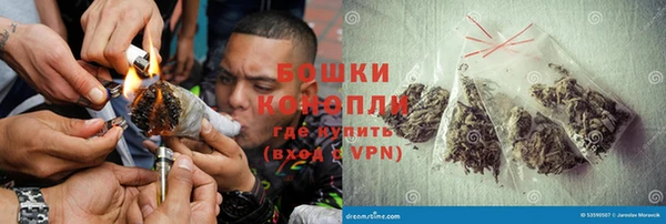 гидра Богданович