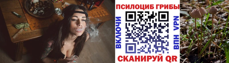Галлюциногенные грибы GOLDEN TEACHER  Купить закладки  Советский 